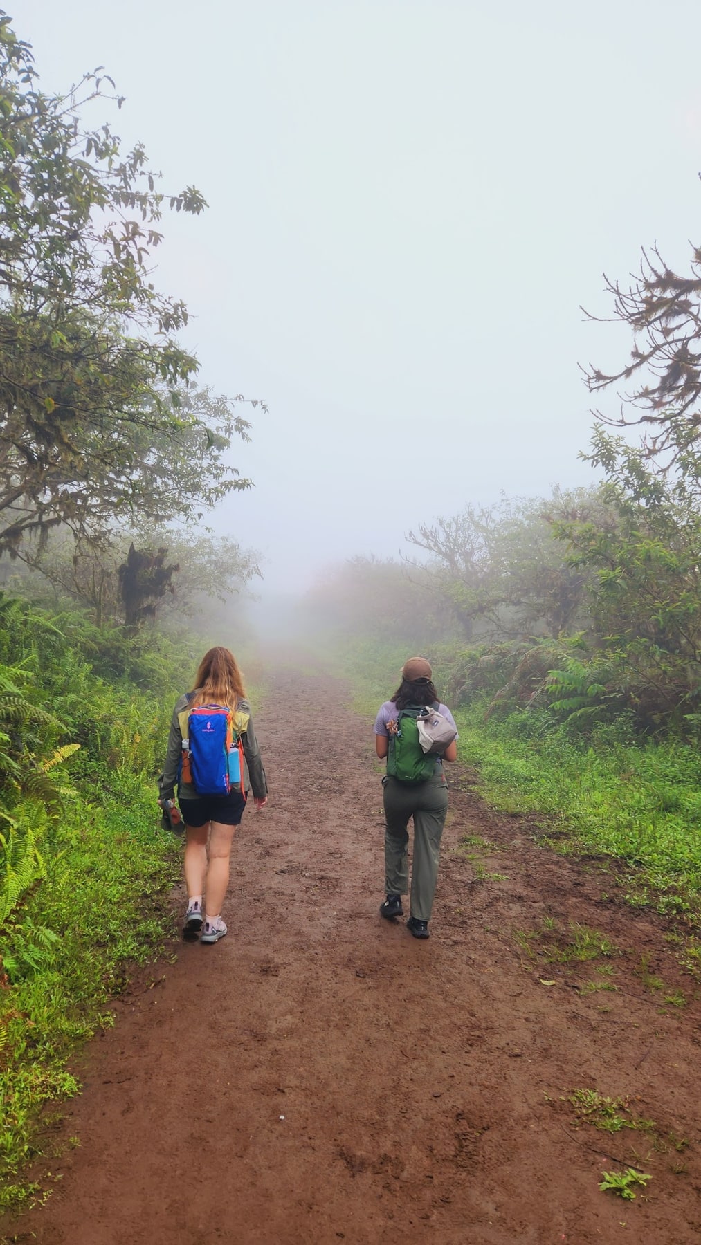 Sierra Negra · Caminata entre neblina