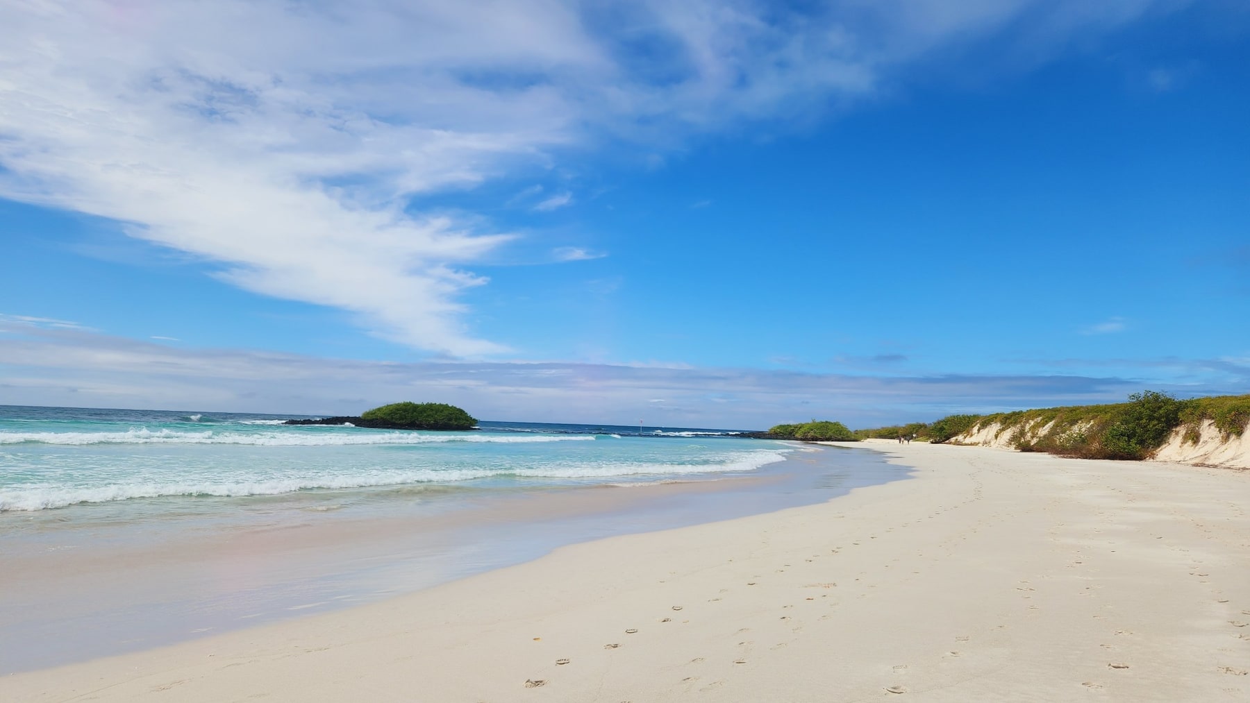 Tortuga Bay · Santa Cruz